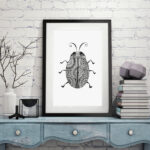 Love Bug Fine Art Print (UNFRAMED)