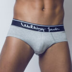 Walking Jack – Ash Solid Briefs – Grey Classic Underwear